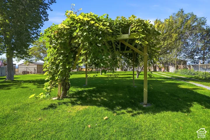 Wood trellis with lush foliage, expansive green lawn, and mature trees
