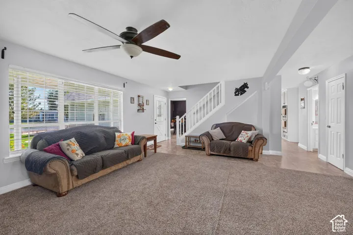 Spacious living area featuring a ceiling fan with integrated lighting, large windows, light gray walls, and textured carpeting