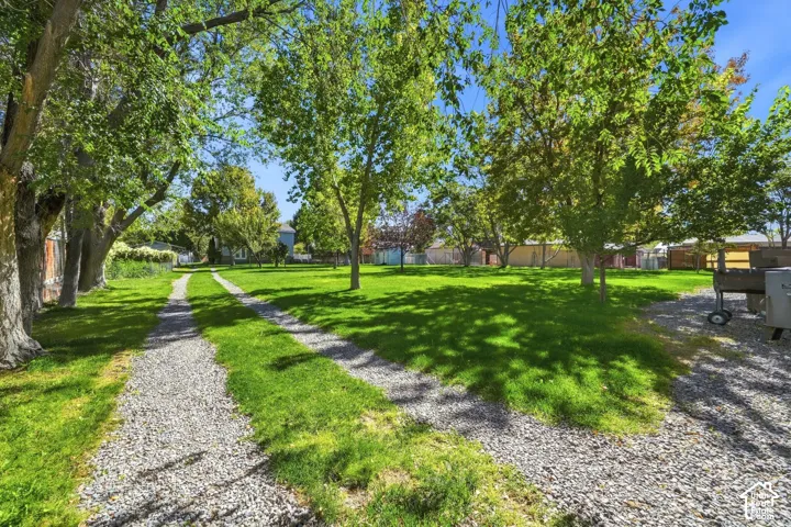 Expansive lawn area with mature trees and a gravel drive