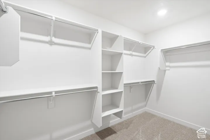 Built-in closet shelving, integrated hanging rods, recessed ceiling lighting, and neutral tone carpet flooring