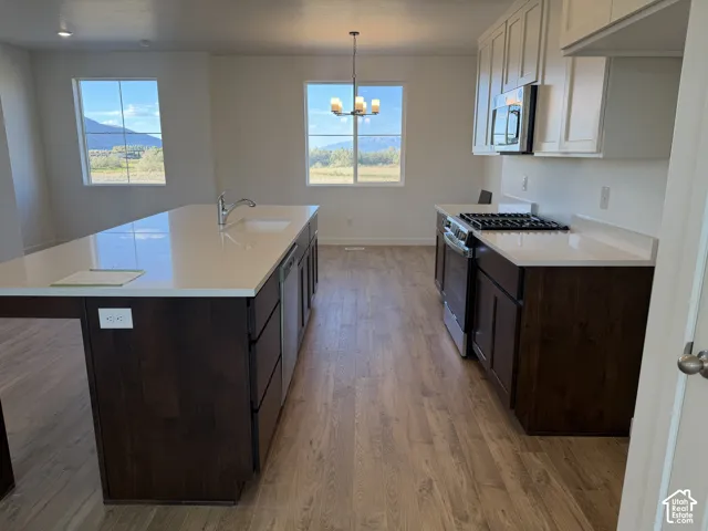Kitchen featuring wood-finish flooring, dark wood cabinetry, white countertops, and a central island with an integrated sink