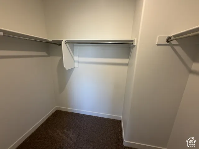 Integrated shelving system with multiple hanging rods and wall-to-wall carpeting