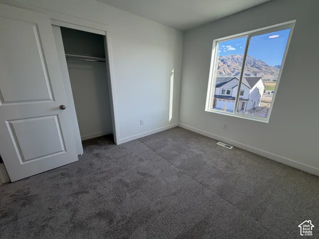 Plush gray carpeting, white painted walls, a built-in closet with a sliding door, and a large window with a mountain backdrop