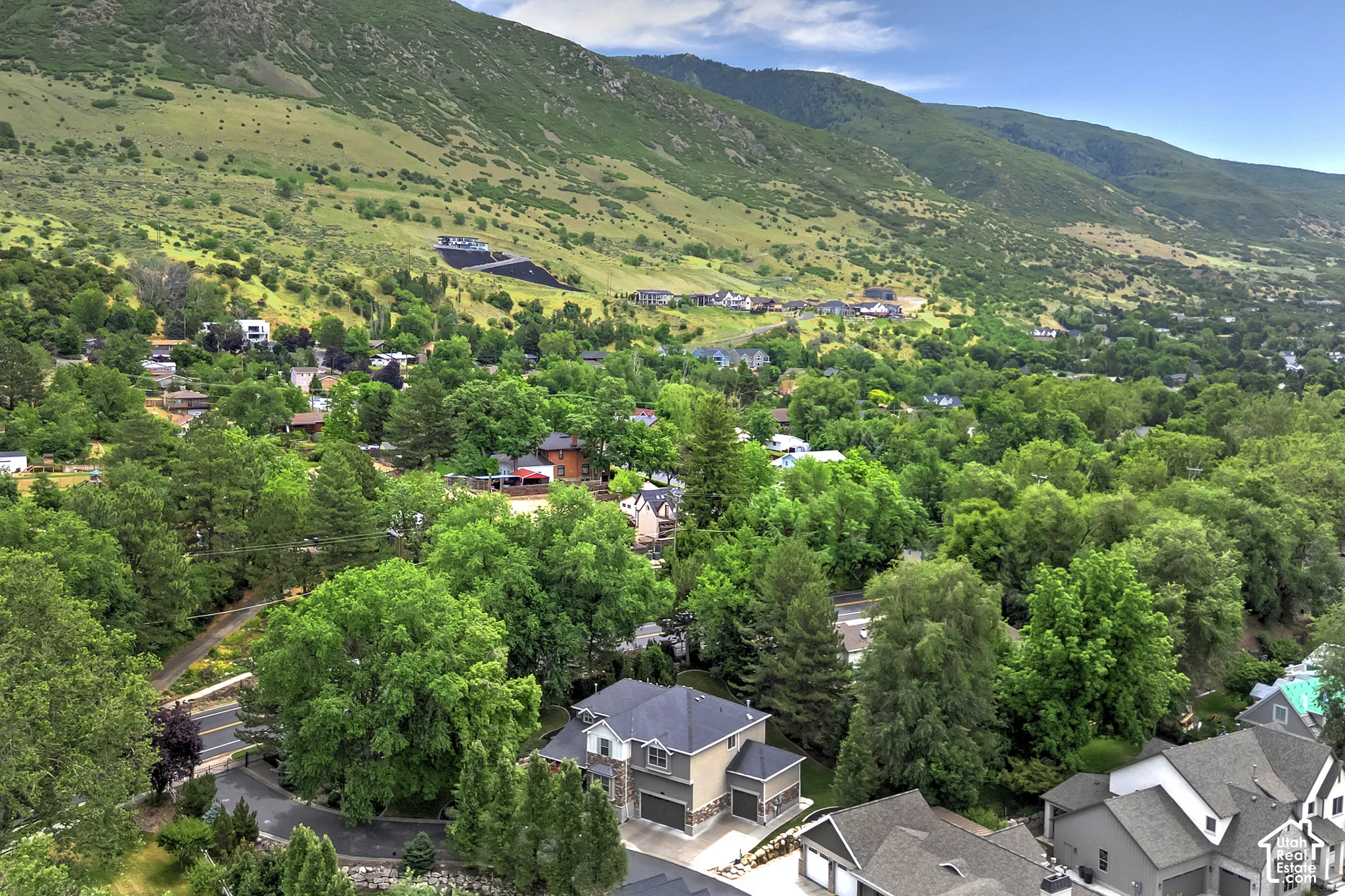 Expansive mountain backdrop with a lush, tree-filled landscape
