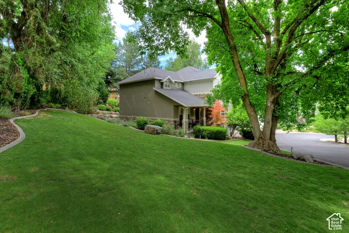 Expansive manicured lawn with mature tree canopy providing natural shade and privacy