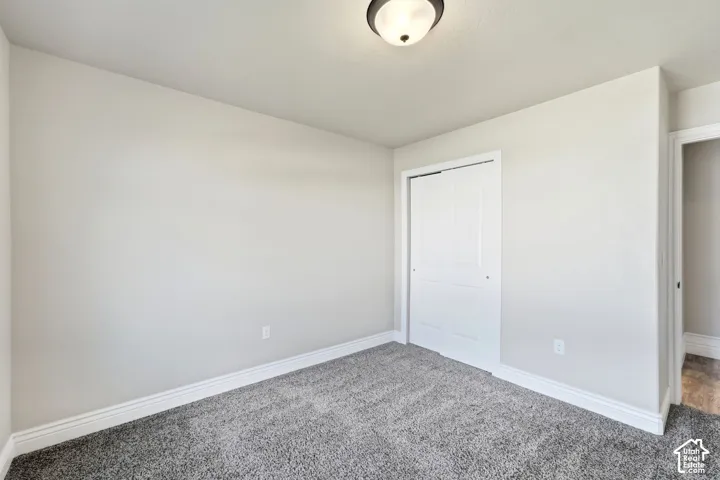 Neutral wall paint, plush carpeting, ceiling-mounted light fixture, white trim, and a bi-fold closet door