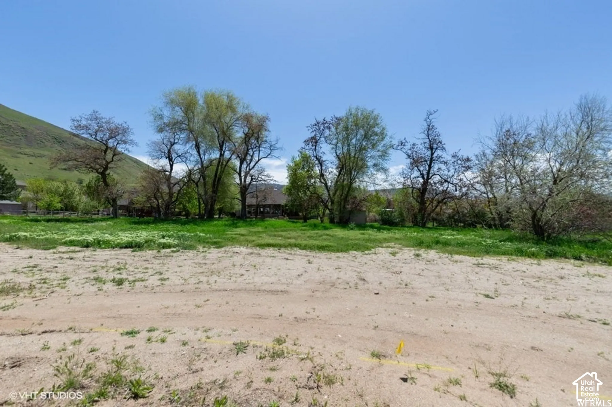 Expansive land parcel featuring a clear sky, distant green hillside, and mature trees