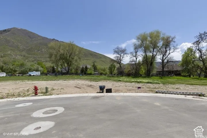 Paved cul-de-sac frontage with clear ground, bordered by natural landscaping and distant mountains