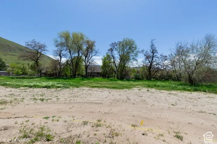 Expansive land parcel featuring a clear sky, distant green hillside, and mature trees