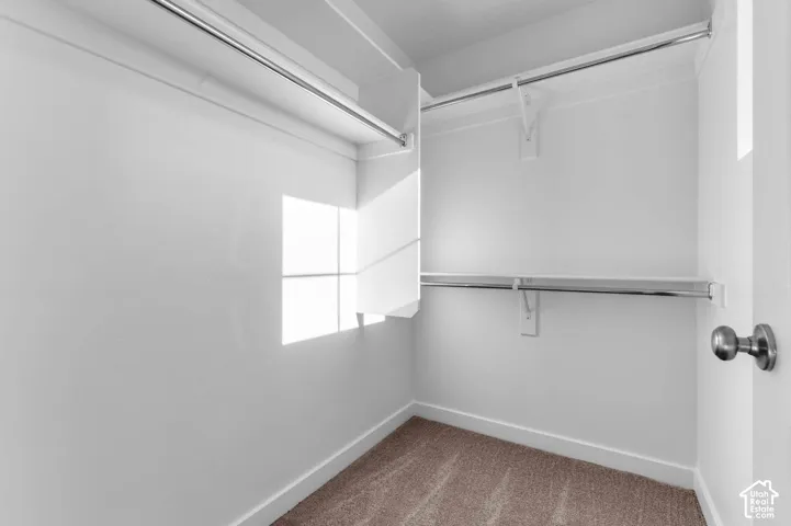 Closet with carpet flooring, white walls, and built-in shelving with hanging rods