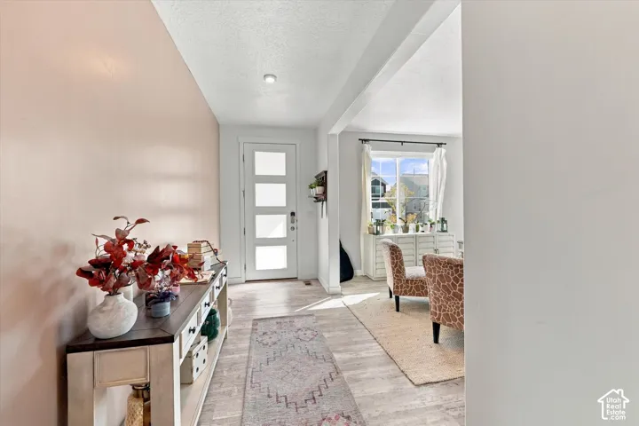 Entryway featuring a modern door with obscured glass panels, light wood-finish flooring, and recessed ceiling lighting