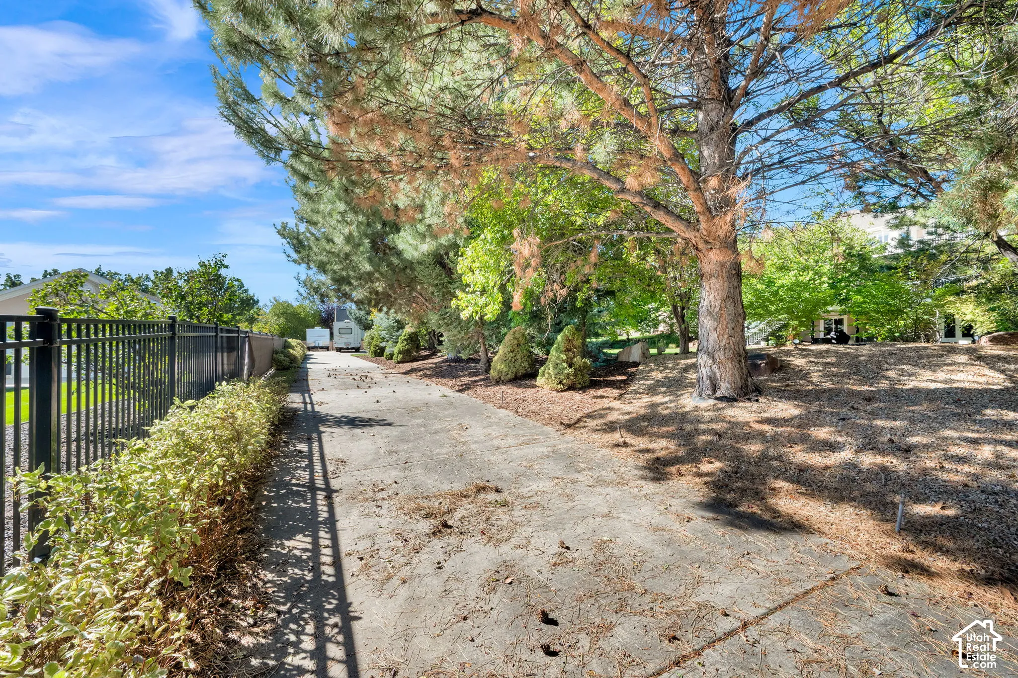 Paved driveway bordered by mature trees and shrubs, featuring a black metal fence