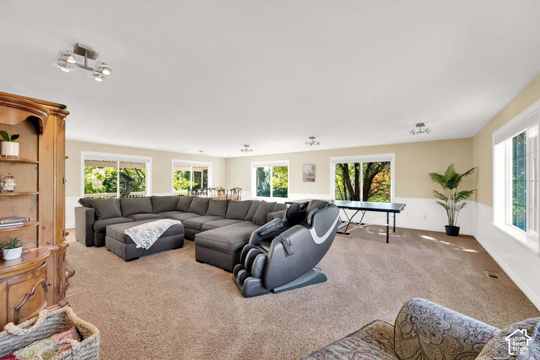 Expansive room with neutral carpet flooring and multiple windows, featuring track lighting fixtures