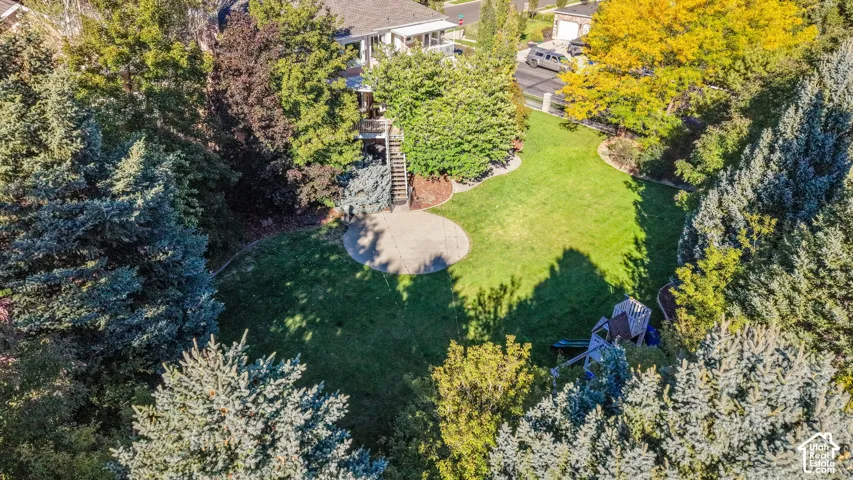 Expansive backyard featuring a manicured lawn, established perimeter trees, and a circular concrete patio