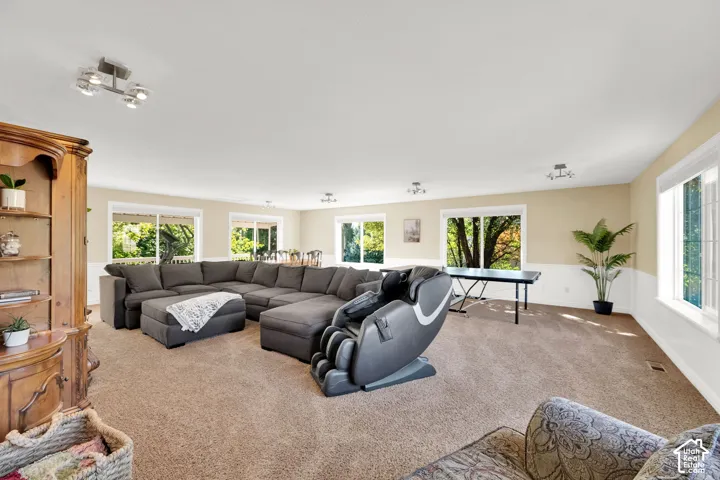 Expansive room with neutral carpet flooring and multiple windows, featuring track lighting fixtures