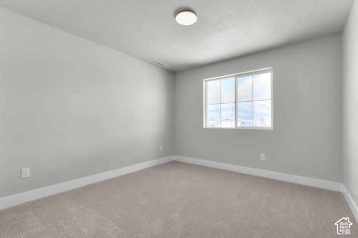 Neutral wall paint, carpet flooring, a single window, and a ceiling-mounted light fixture