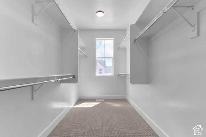 Walk-in closet with carpet flooring, window, ceiling light fixture, and multiple clothing rods