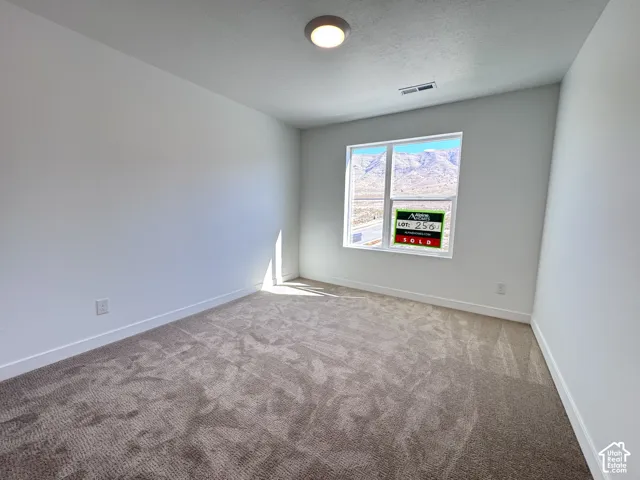 Neutral wall finishes and plush carpeting