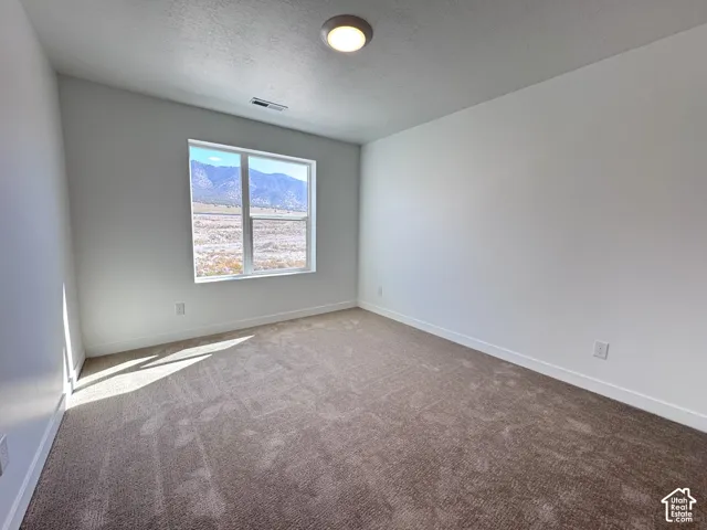 Neutral carpet flooring and white walls with a built-in window and overhead lighting
