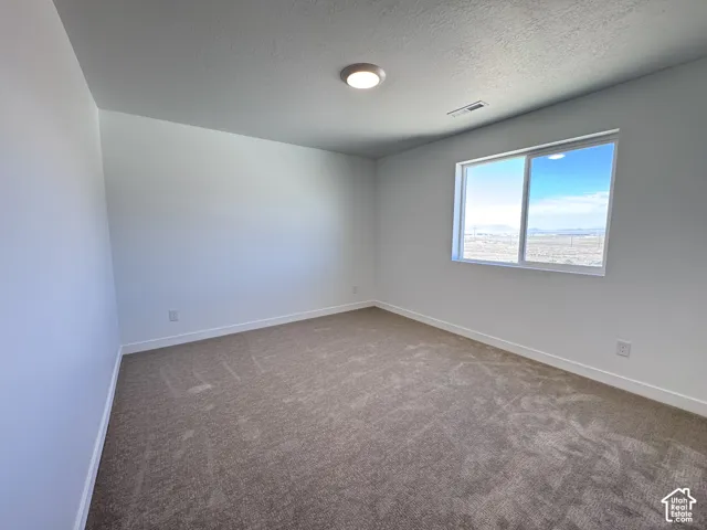 Neutral wall finishes with a single window, recessed lighting, and carpeted flooring