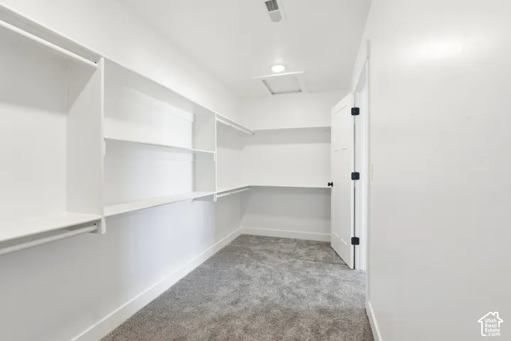 Walk-in closet featuring built-in shelving, hanging rods, light gray carpet, and a white interior door with dark hardware