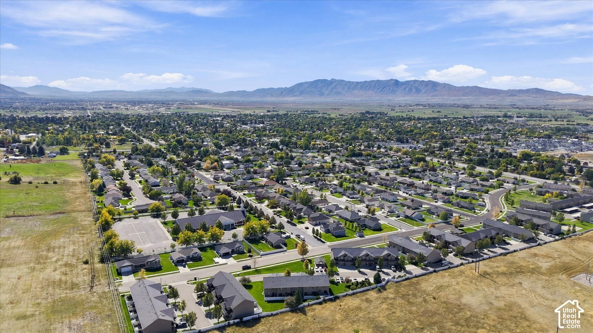 Expansive suburban landscape featuring residential homes, lush tree canopy, and distant mountain ranges
