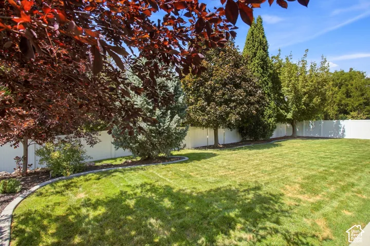 Expansive backyard featuring a manicured lawn, mature trees, and full vinyl fence