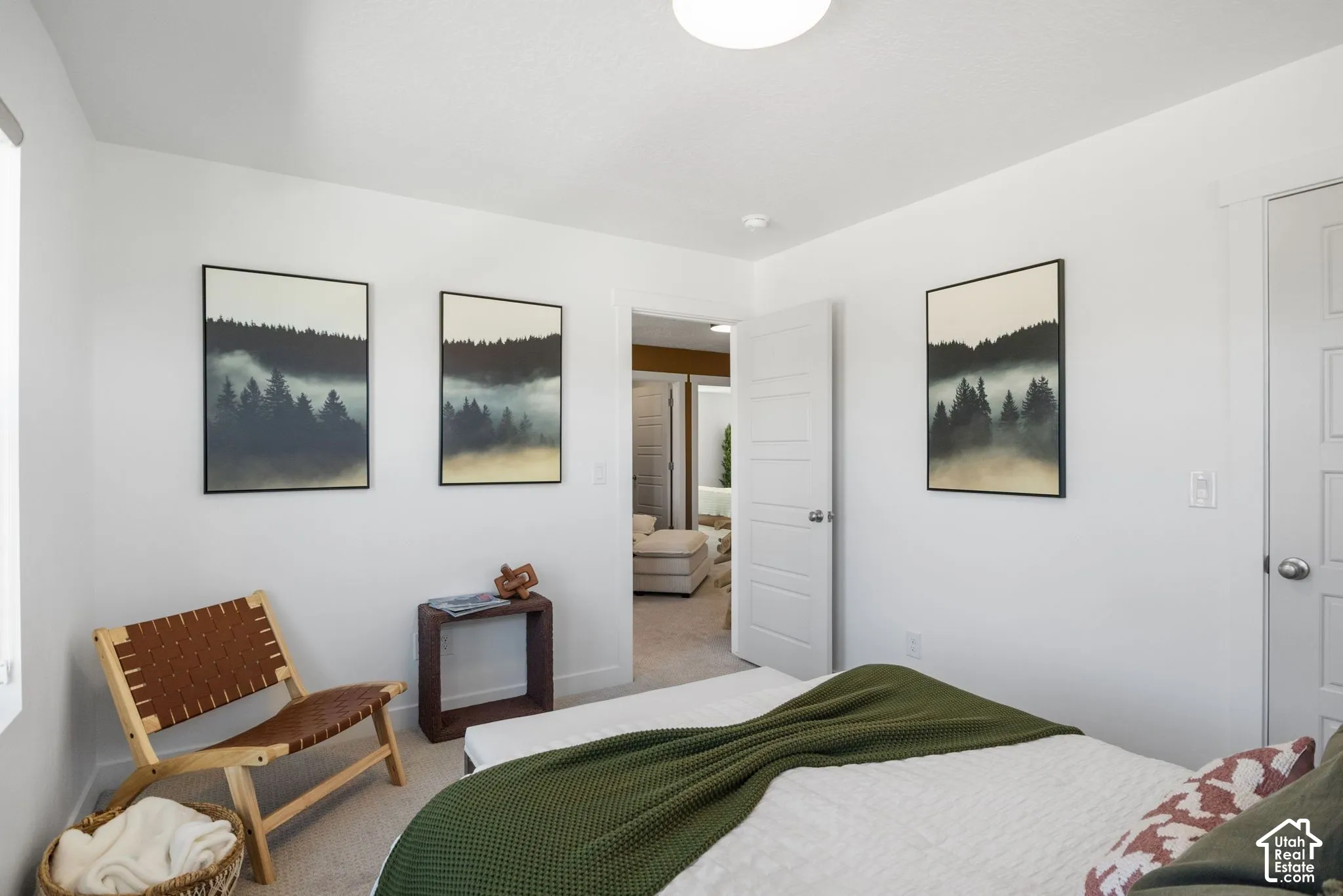 White walls paired with a neutral carpet