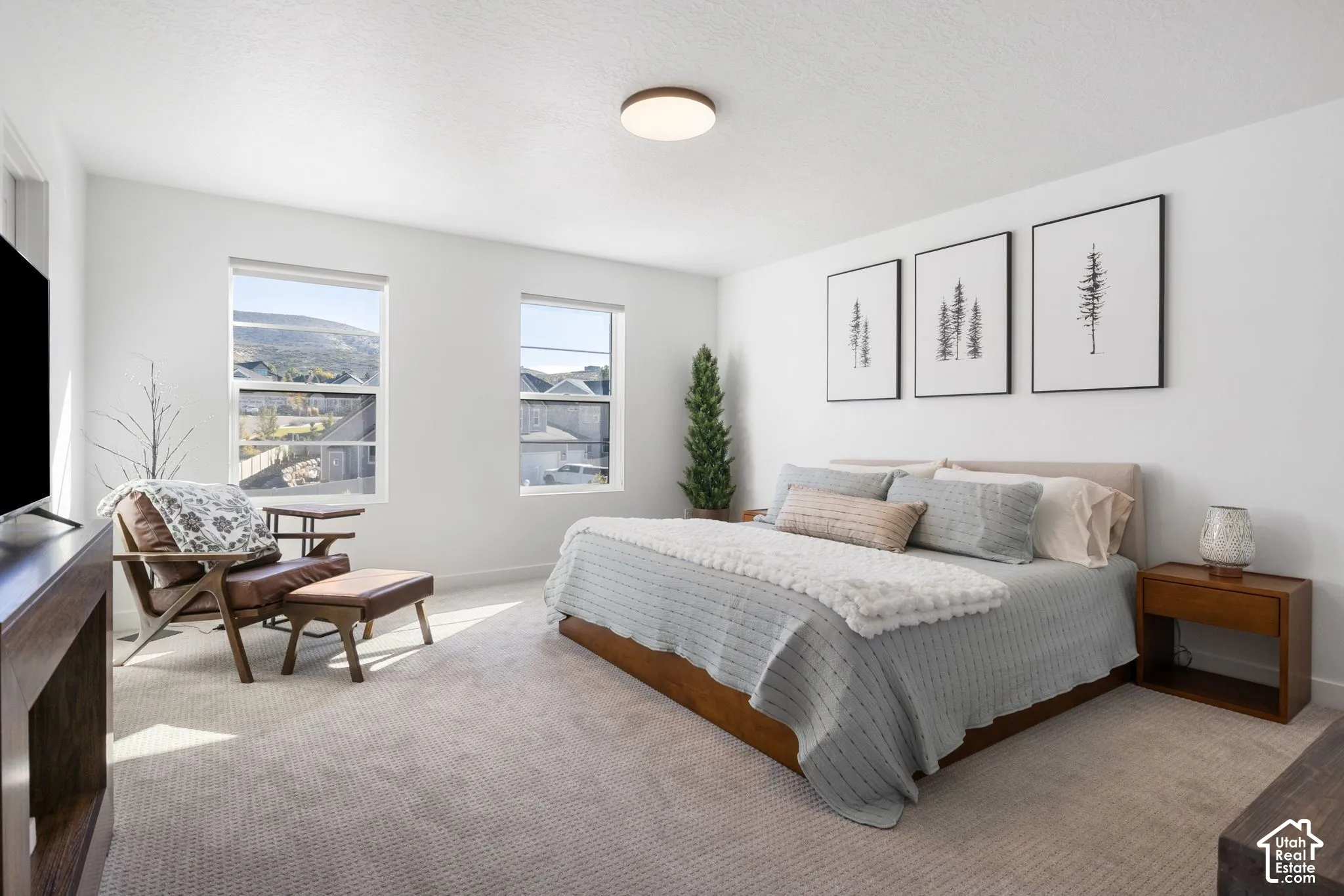 Light-colored carpeting, two large windows, a single flush-mount ceiling light, and white painted walls