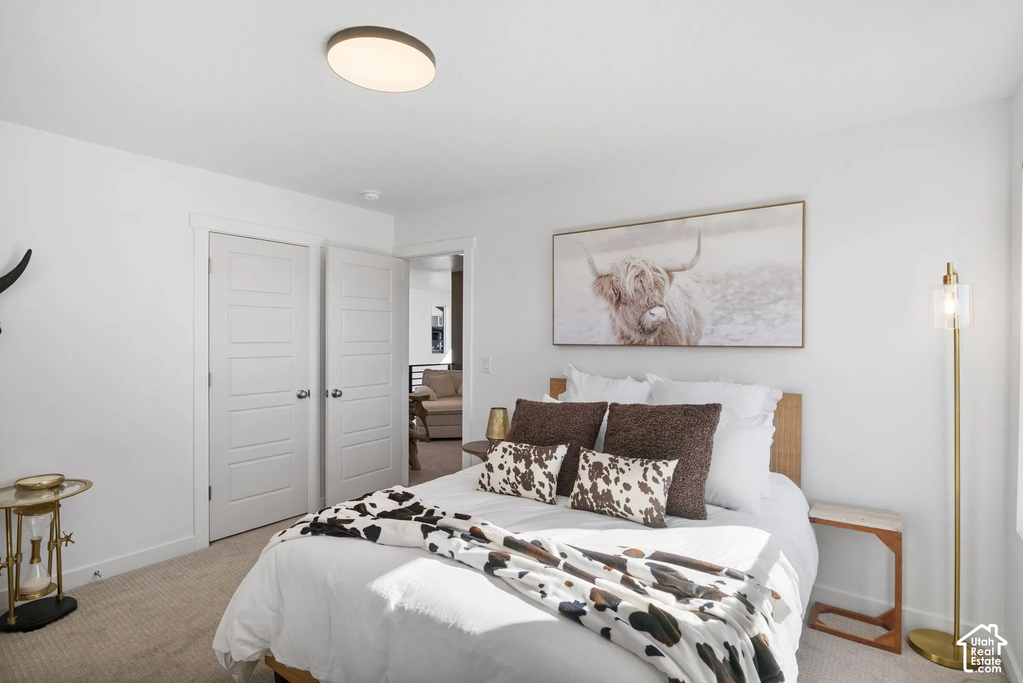White paneled doors, neutral carpet, and a flush-mount ceiling light
