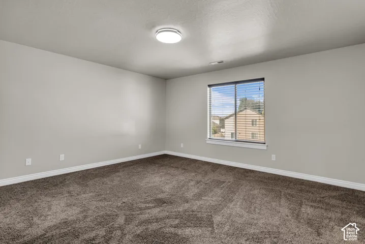 Neutral wall paint color, window with blinds, flush mount ceiling light, and wall-to-wall carpeting