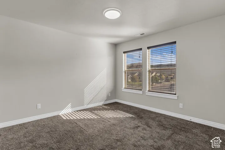 Neutral wall color, carpeted flooring, two windows with blinds, white trim, and a ceiling-mounted light fixture