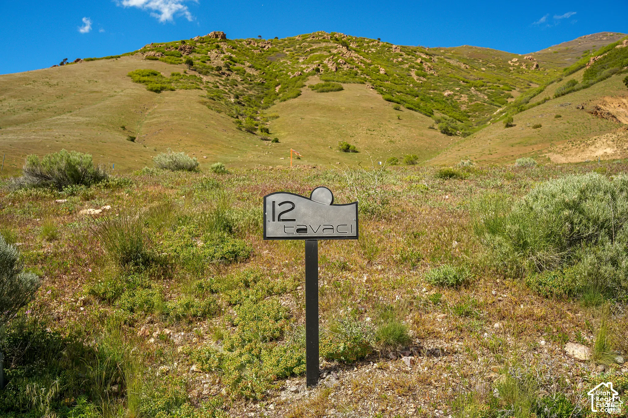 Mountainous terrain with natural vegetation