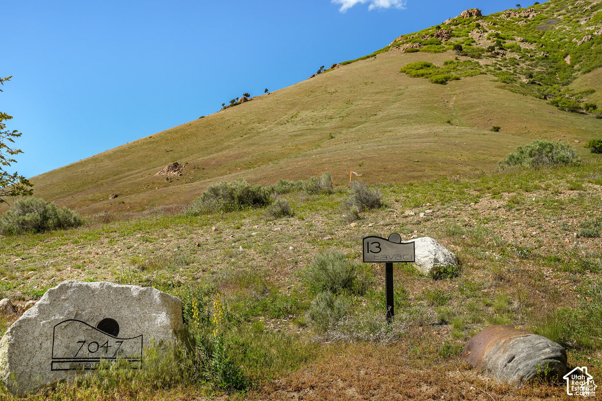 Rolling hillside landscape with natural vegetation
