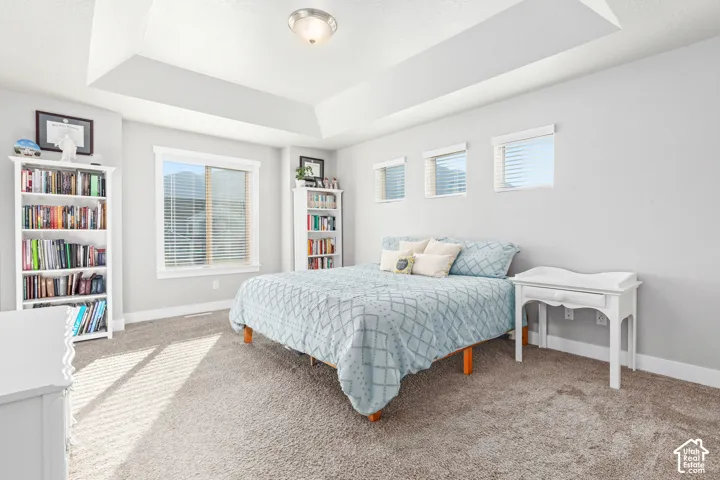 Recessed ceiling with layered white trim, expansive carpeted flooring, and multiple windows with horizontal blinds