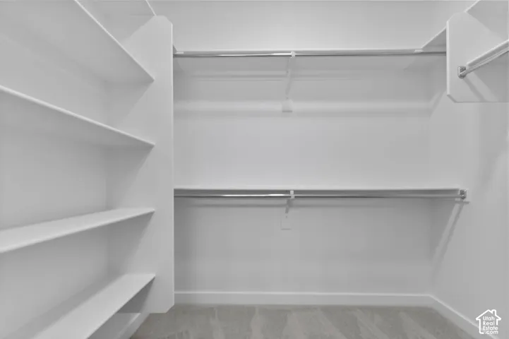 Built-in shelving, chrome hanging rods, and light gray carpeting