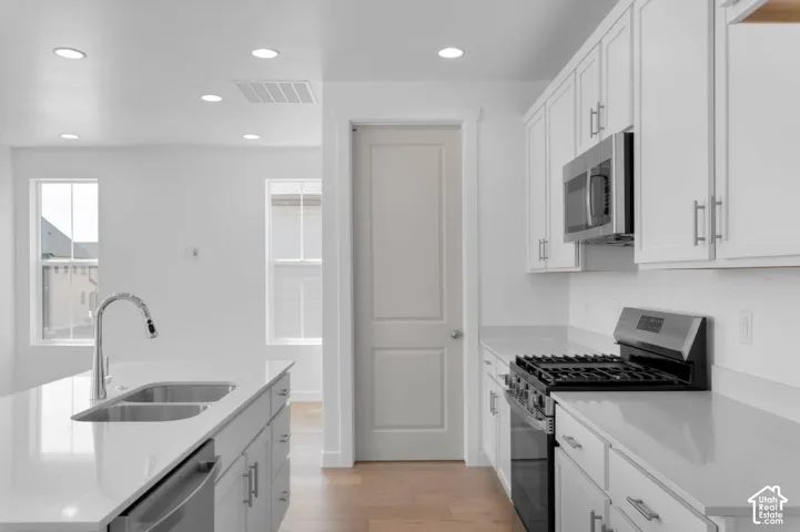 White shaker cabinetry, stainless steel appliances, dual basin stainless steel sink, light wood-finish flooring, and recessed lighting