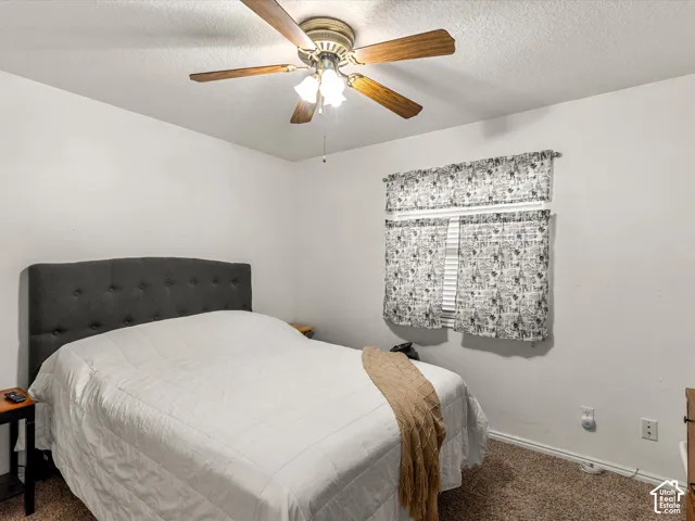 Ceiling fan with light fixture, window with blinds, and wall-to-wall carpeting