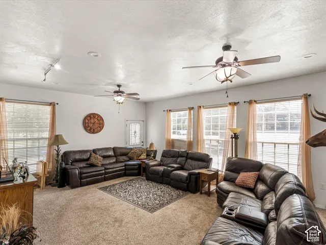 Ceiling fans with lighting, recessed lighting, track lighting, multiple windows, and a glass-paneled entry door