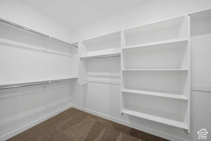 Integrated shelving unit, multiple hanging rods, and carpet flooring
