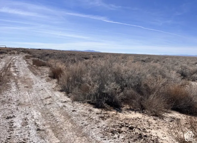 Expansive undeveloped land featuring natural desert flora and distant mountain ranges under a clear sky