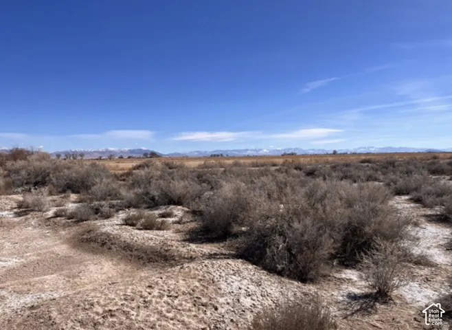 Expansive land with natural ground cover, distant mountains, and a broad sky