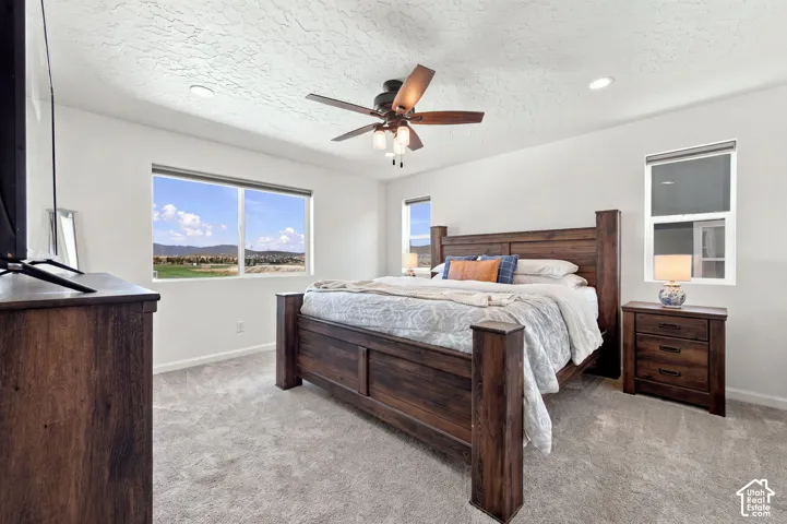 Primary bedroom with lots of natural lighting and great views of Corey B. Wride park.