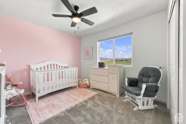 Recessed window with exterior scenery, overhead ceiling fan with lighting, and carpeting