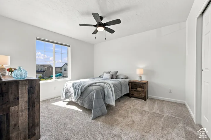 Neutral-toned carpeting, white painted walls, and a large window with grid pattern