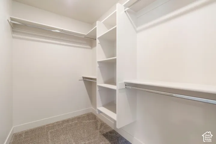 Built-in shelving, multiple hanging rods, and carpet flooring within a white-painted closet space