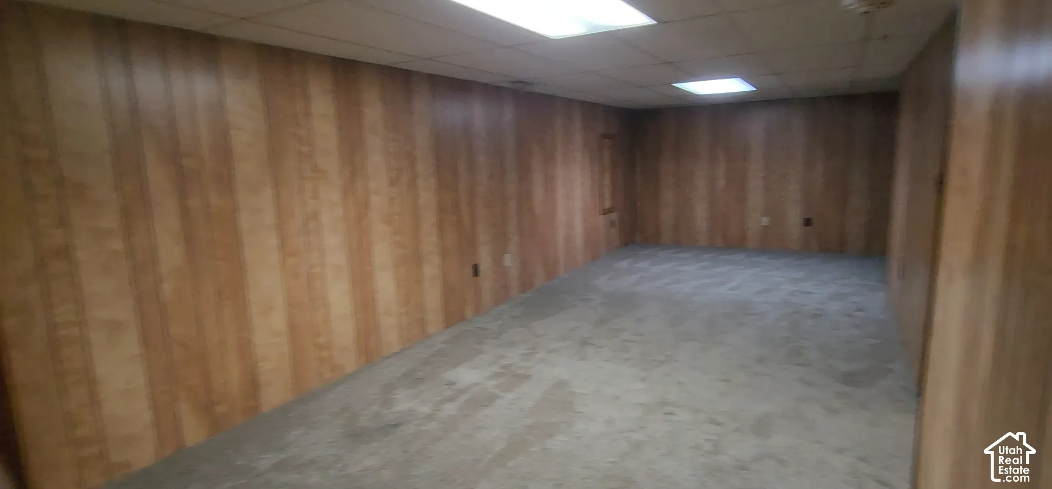 Basement Living Room