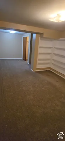Large basement bedroom