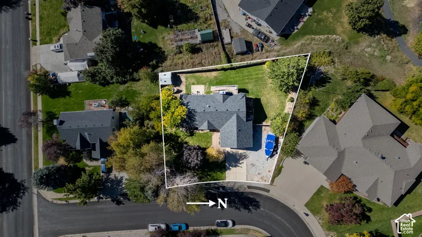 Manicured lawn, mature trees, and a paved driveway leading to the residence