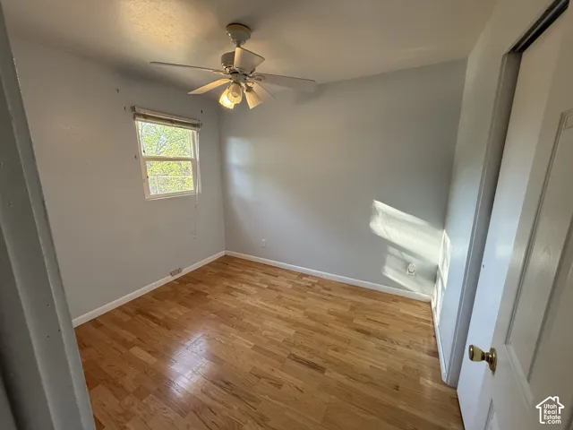 Hardwood flooring, single window, ceiling fan, and painted walls